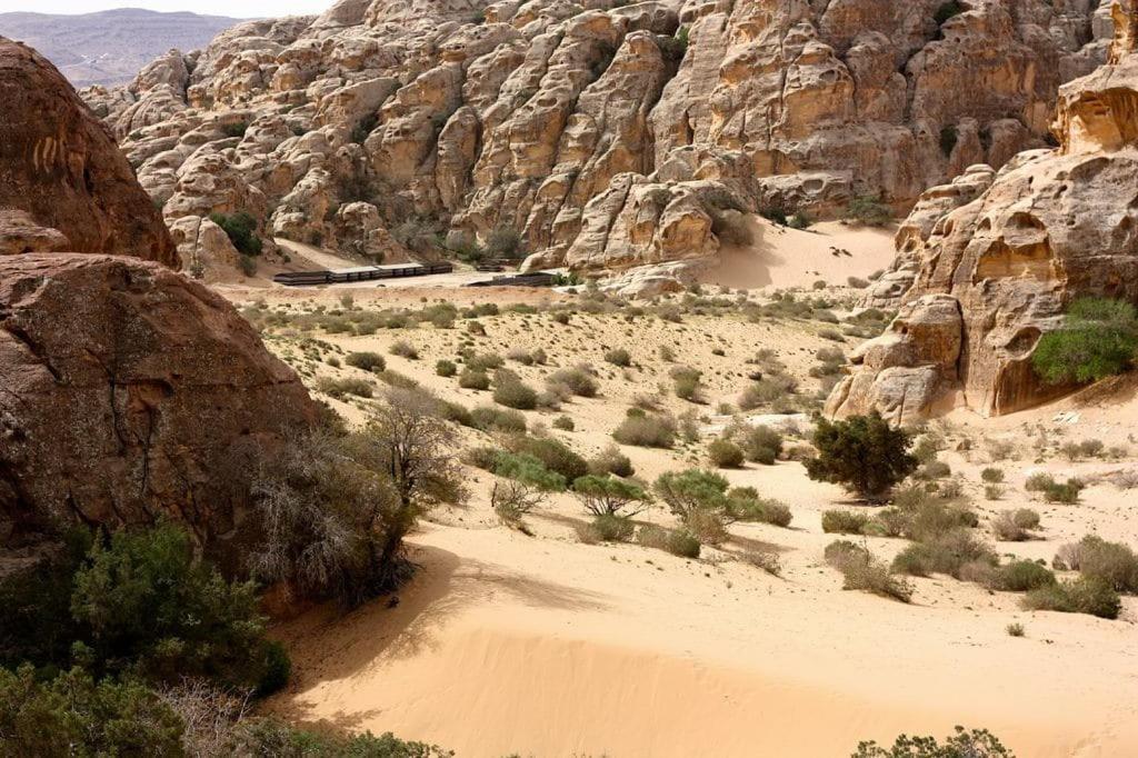 ホテル Ammarin Bedouin Camp ワディ・ムーサ エクステリア 写真