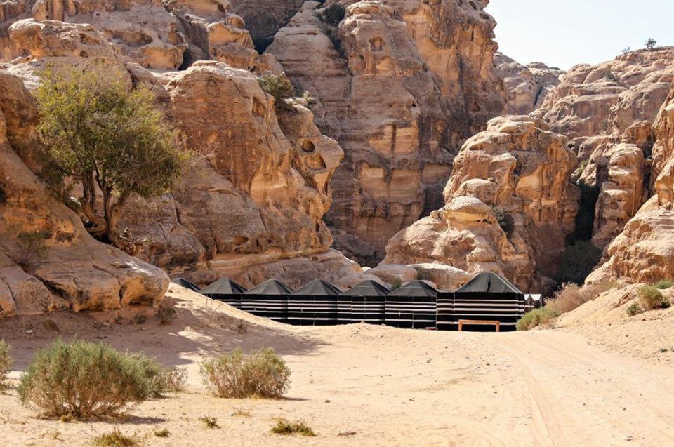 ホテル Ammarin Bedouin Camp ワディ・ムーサ エクステリア 写真