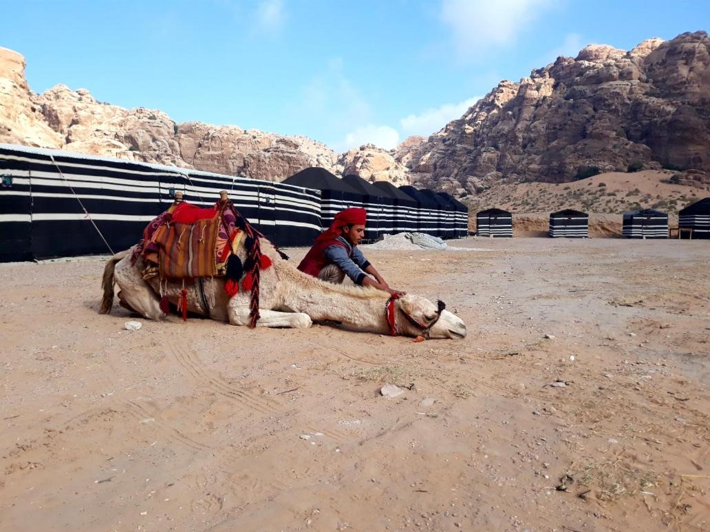 ホテル Ammarin Bedouin Camp ワディ・ムーサ エクステリア 写真