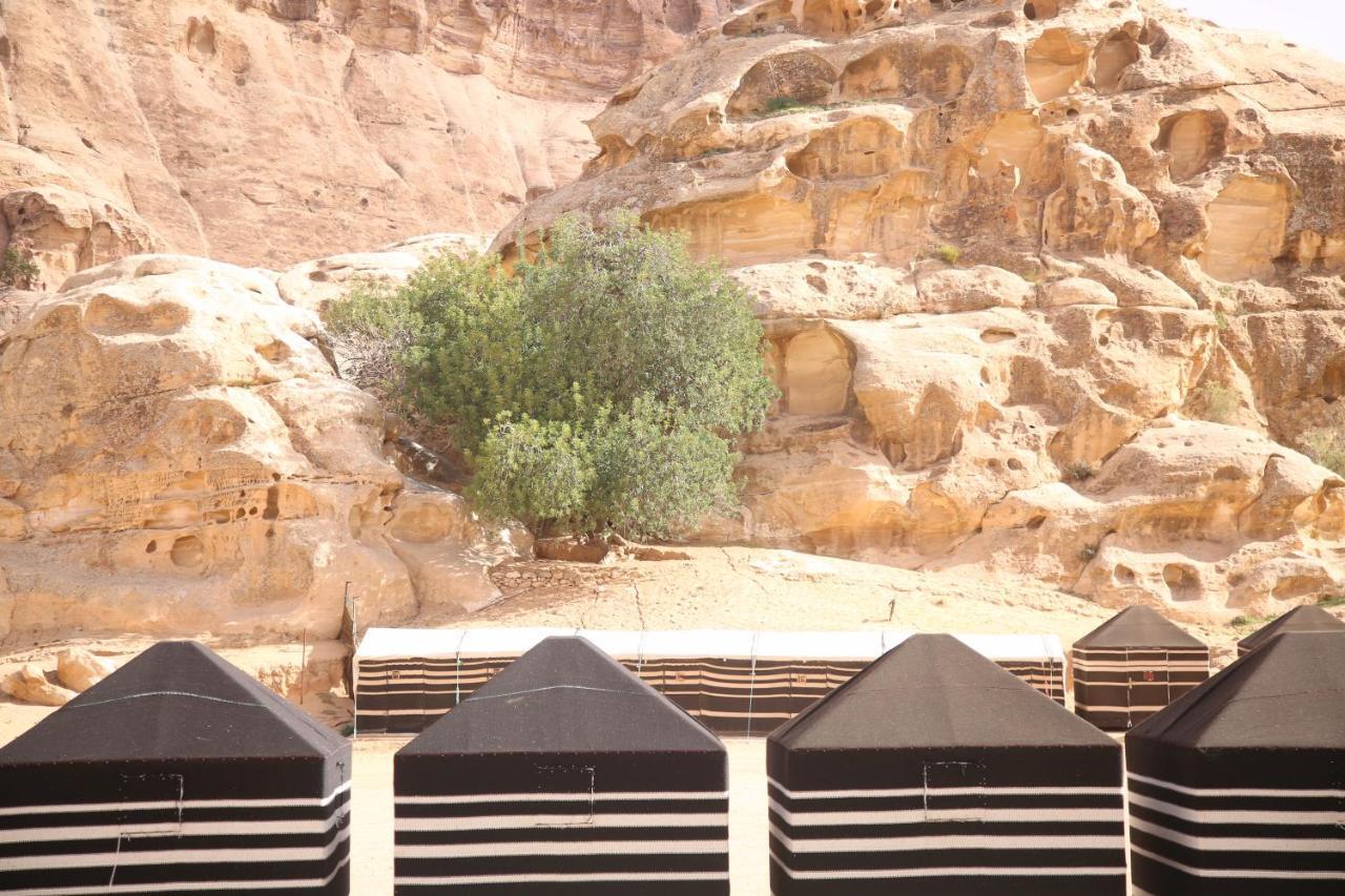 ホテル Ammarin Bedouin Camp ワディ・ムーサ エクステリア 写真